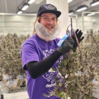 Sapura Employee Ryan Chadwick's profile photo