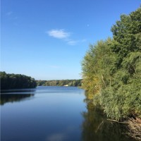 Engelhart Employee Marko Dukic's profile photo