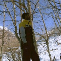 Wizie Employee Dheeraj Kumar's profile photo