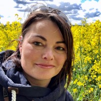 Sachsen Medien GmbH Employee Yvonne Linné's profile photo