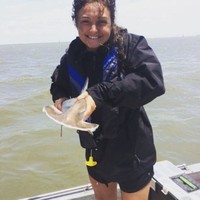 NOAA: National Oceanic & Atmospheric Administration Employee Alexandra Dowlin's profile photo