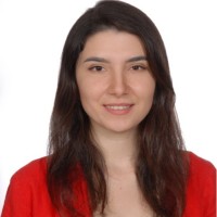 Fatma Şahan Email