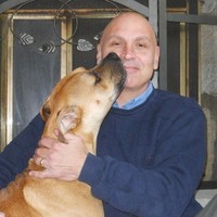 Mike Disipio Email & Phone Number