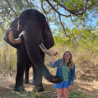 Guy Harvey Foundation Employee Ashley Blocker's profile photo