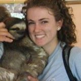 Worth Street Veterinary Center Employee Sarah Schoenhut's profile photo