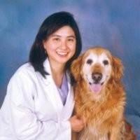 Anne Lai Email & Phone Number