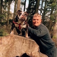 Thames Valley Construction & Civil Engineering Ltd Employee Dale John's profile photo