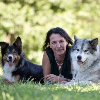 IAG Industrie Automatisierungsgesellschaft m.b.H. Employee Claudia Romih's profile photo