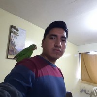 SEVENTEC Employee José Luis Apaza Cueva's profile photo