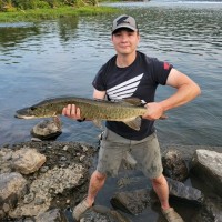 Troy Moore Email & Phone Number