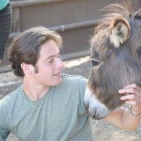 Andrew Rothman Email & Phone Number