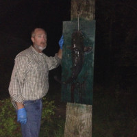 Magnolia Marine Transport Employee Don Ainsworth1's profile photo