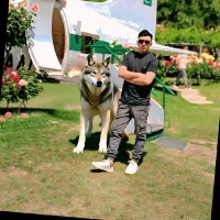 HP LIFE Employee Munawar Saeed's profile photo