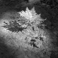 MOXI, The Wolf Museum of Exploration + Innovation Employee Rebecca Elias's profile photo