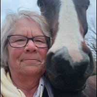 Kibby Park Animal Hospital Employee Sue Chambers's profile photo