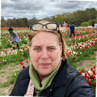 Northeastern University Employee Holly Chase's profile photo