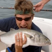 BoldtSmith Packaging Employee Mike Marcinkowski's profile photo