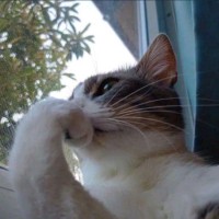 Looperex Technologies Employee Balasubramaniyam T's profile photo