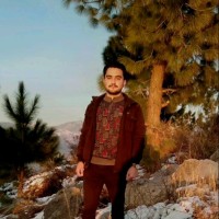 Noman Abbasi Email