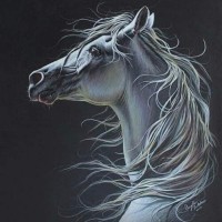 Freelanc Employee Art Animator's profile photo