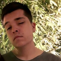 .add Employee Caio Fernando's profile photo