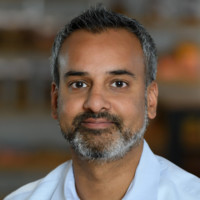 vivenu Employee Nick Chandra's profile photo