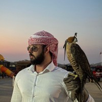 Vitascience Employee Lucas Otaviano's profile photo