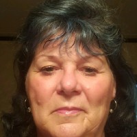 TRANSLOG Employee Sheila Sharp's profile photo