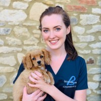 BICESTER VETS LIMITED Employee Lauren Furey's profile photo