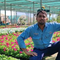 minah Employee Juwel Rana's profile photo