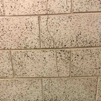 Diverse Facility Solutions Employee Marcos Delpino's profile photo