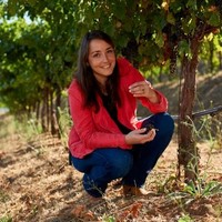 CHANDON Employee Pauline Lhote's profile photo