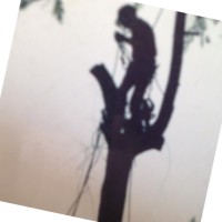 Branch managers tree care inc Employee John Pavlik's profile photo