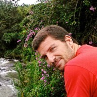 Tholus Digital Employee Alberto Guerrero Rodríguez's profile photo