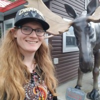 Westmoreland County Transit Authority Employee Stevie Jankovic's profile photo