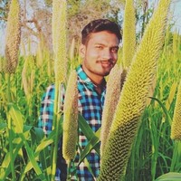BOOSTER PLANT GENETICS PRIVATE LIMITED Employee Vishal Khatik's profile photo