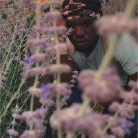 Indiana University of Pennsylvania Employee Caron Davis's profile photo