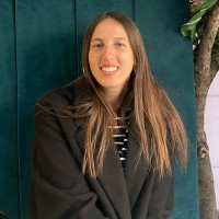 Gliding Deer Employee Shachar Sharon's profile photo