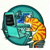 Kakhi Kotchauri's profile photo