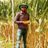 Rumesh Ranjan Email