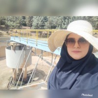Mojan Employee Mina Behfar's profile photo