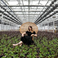 Plantscaping & Blooms Employee Ash Gomez's profile photo
