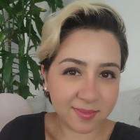 Persyst Development Corporation Employee Mojgan Dadashi's profile photo