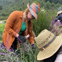 4G ARCHITECTURE Employee Carolina Mendoza Díaz's profile photo