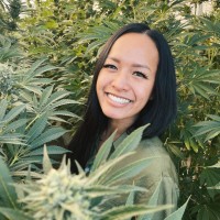 Jupiter Research Employee Christina Limon's profile photo
