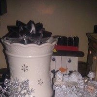 Scentsy Wickless Candles Employee Megan Moran's profile photo