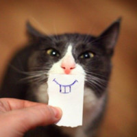 whatAsoft Employee Alexander Shatunov's profile photo