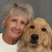 Anne Whiting-Mortensen Email & Phone Number