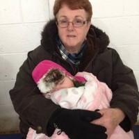 Audrey Cournoyer Email & Phone Number