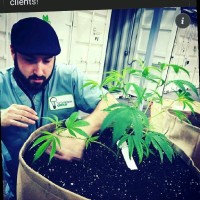Cannavative Employee Luke Fortuna's profile photo